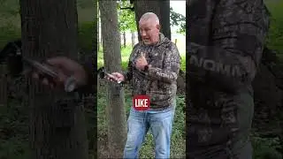 Заметайте следы