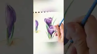 Spring Crocus Flower #art #shorts #watercolorpainting