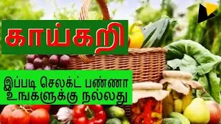 How to select fresh vegetables? | How to buy Best vegetables in Tamil?