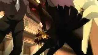 black cat   1