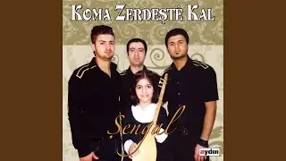 Mi Gul Dibu