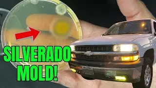 Silverado Cab Water Leak Mold Testing Kit for Water Damage with Carpet Mold Spores