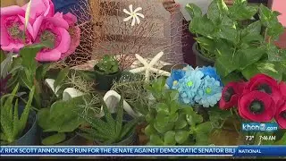 The Spring Fair will hit Kapolei this weekend