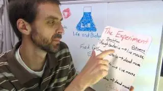 Episode 003 - Frederick Griffith's Experiment