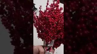 Turn dollar store berries into a beautiful winter wreath! ❤️ @dollartree #shorts #diy #easy #home
