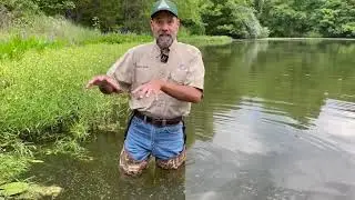 Habitat Hints - Fish Kills