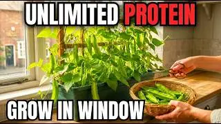 Grow More Protein Than Beef. Zero Soil. The 5 Minute Window Box Method.
