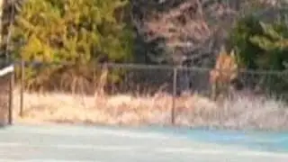 Freedom Taken Too Far Trailer