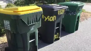 My cart collection before pickup