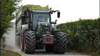 CORN SILAGE 2019 / CLAAS JAGUAR 970 / AZIENDA AGRICOLA DONISELLI / F.lli GIOVINETTI