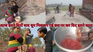 आज इतने दिनों बाद धूप निकलन गई छत पर कर दिए इतने काम #trending #trend #vlog #faimlyvlog 