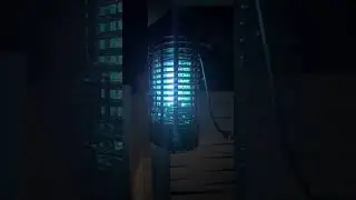 AWESOME Bug Zapper | Black Flag | See it in action