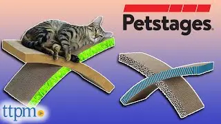 Easy Life Hammock Cat Scratcher from Petstages Review!