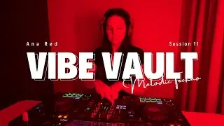 Vibe Vault - Melodic Techno Session (11) // [ Gozlan, Rafael, Guy Katch, Mark Knight & more ]