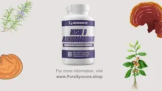 Ashwagandha & Reishi Mushroom - Ultimate Natural Formula to support Calm Mind
