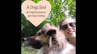 Just another Covid Puppy - Socialization & Habituation - Podcast #s3e35
