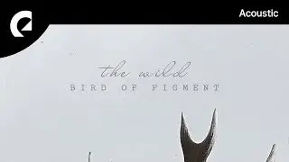 Bird Of Figment - We Don't Need Much