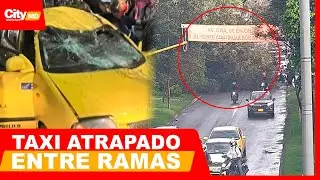 Lluvias y caos vial, árbol cayó sobre un taxi y obligó cierre preventivo | City Noticias Medio Día