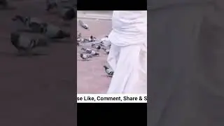 behtarin naate paak jarur sune _ rahe haq group _ #SHORTS2023 _ #shortvideo _ #viral
