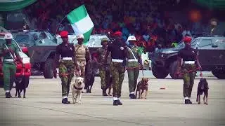 God Bless Nigeria (Music Video)