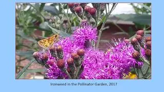 Barn Garden Slideshow