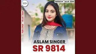 Aslam Singer SR 9814