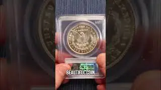 Rare Morgan Dollar Auction: MS64 1885 Coin!