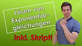 Lösen von Exponentialgleichungen - Theorie & Beispiele (mit SKRIPT!!)