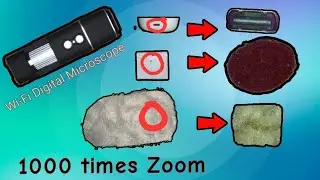Wi-Fi wireless Digital Microscope with 1000 X zoom