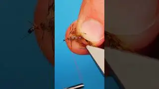 How to tie a Killer Shrimp