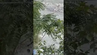 #Gilgit #rescue #operation