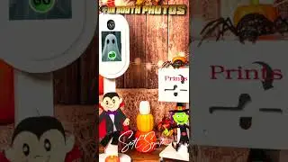 Versatile Photo Booth Themes | Christmas, Luau, Halloween, Upscale & Fall Weddings