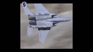 Actions of the f 15DJ strike eagle