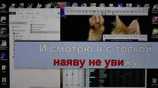 VanBasco's Karaoke Player - караоке для компьютера.
