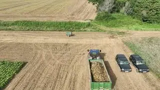 The Sugar Beet Campaign 2023/24