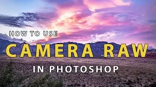 What Is Adobe Camera Raw Used For? -  And How to Use It