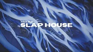 New Slap house Like Dynoro, Meduza, VIZE [FREE FLP]
