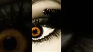 Pretty Little Liars 4x13: Halloween Intro