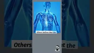 What is the purpose of human existence?