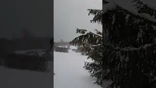 Chopin Winter Christmas Spruce Europe Snow Classic music Meditation Latvija Vecpiebalga Sensation