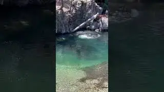 Okanogan-Wenatchee National Forest, watering hole @ Salmon La Sac 💦
