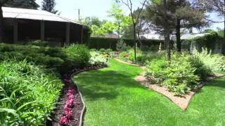 Tips for finding winter hardy plants