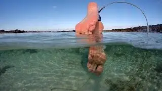 5 Tips: How to take over under photos with GoPro