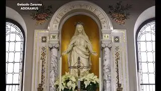 Gwiazdo Zaranna - ADORAMUS