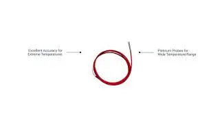 Milesight EM500-PT100 - Sensor de temperatura industrial - Envisia