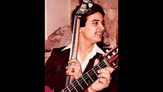 Freddy Torres on (Ampeg Baby Bass Solos) 