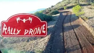 Drone Rally!