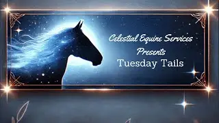 Tuesday Tails: Emotional Regulation- Buzz word? Or real deal?