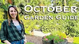 October Garden Guide: The Ultimate Guide to Florida Gardening