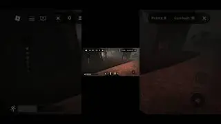 Playing on roblox the rake remastered